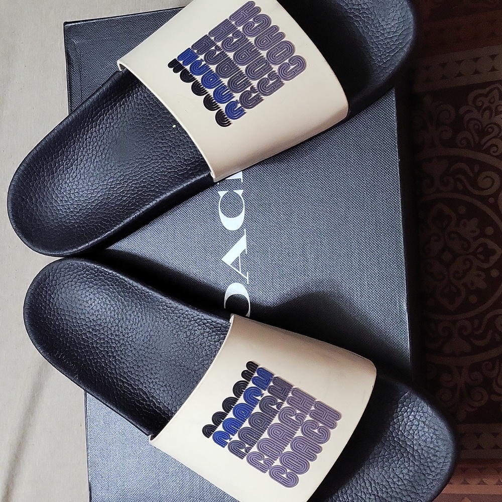 Authentic Coach slides